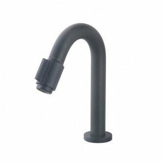 Toiletkraan Luxe Victorius Messing Mat Zwart